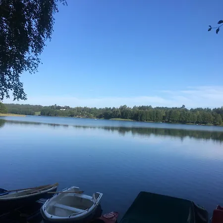 Lesny Kacik Borowy Mlyn