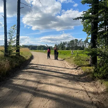 Lesny Kacik Borowy Mlyn