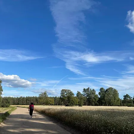 Lesny Kacik Holiday home *