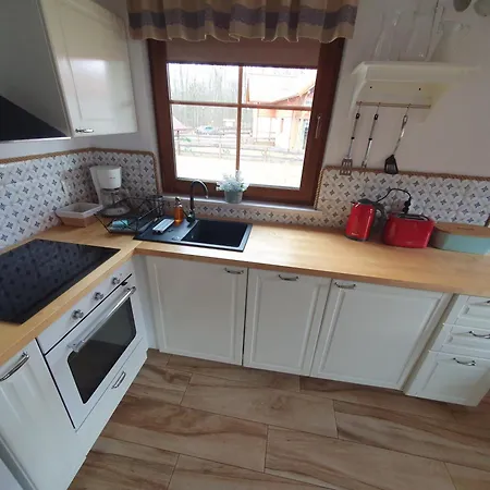 Holiday home Lesny Kacik Borowy Mlyn