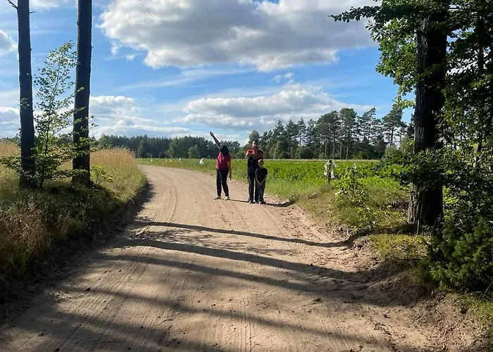 Lesny Kacik Borowy Młyn